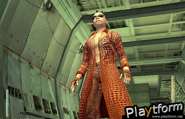Enter the Matrix (GameCube)