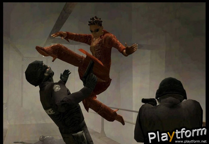 Enter the Matrix (GameCube)