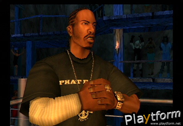 Def Jam Vendetta (PlayStation 2)