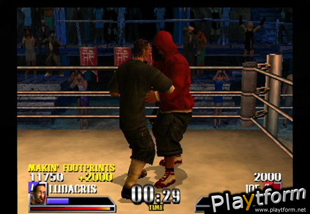 Def Jam Vendetta (PlayStation 2)