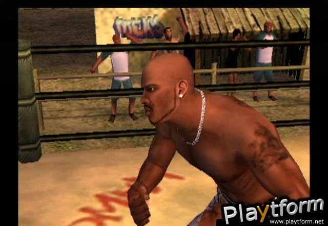 Def Jam Vendetta (PlayStation 2)