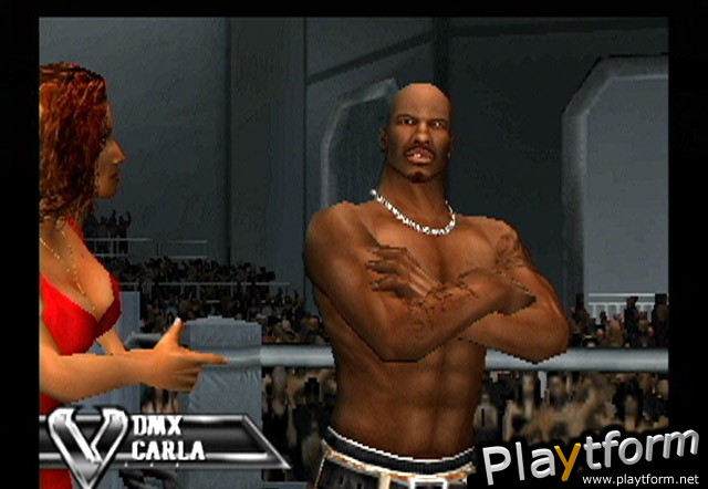 Def Jam Vendetta (PlayStation 2)