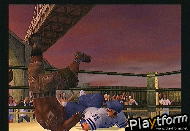 Def Jam Vendetta (PlayStation 2)