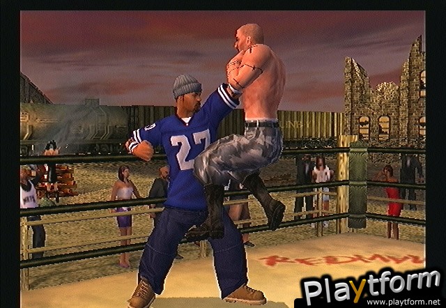 Def Jam Vendetta (PlayStation 2)
