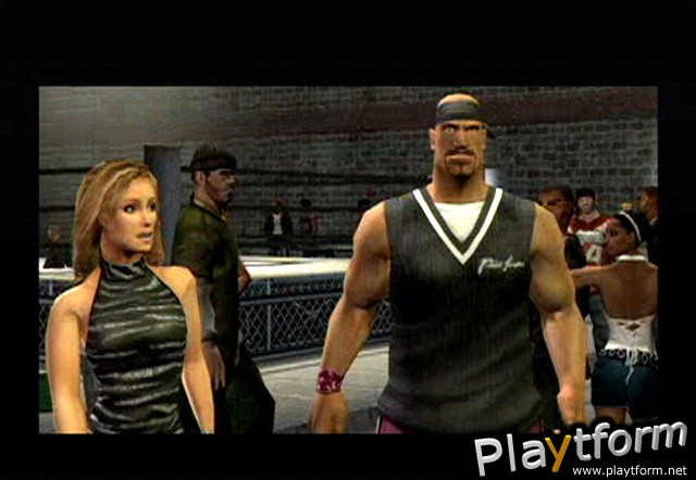 Def Jam Vendetta (GameCube)