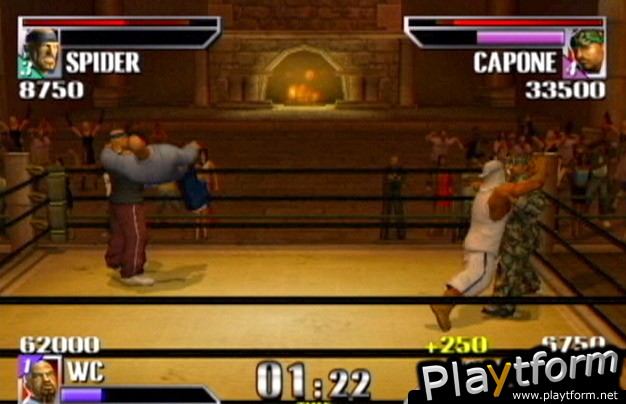 Def Jam Vendetta (GameCube)