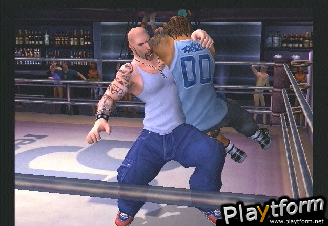 Def Jam Vendetta (GameCube)