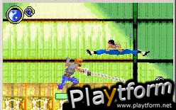 Bruce Lee: Return of the Legend (Game Boy Advance)