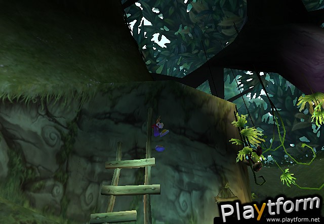 Rayman 3: Hoodlum Havoc (PC)