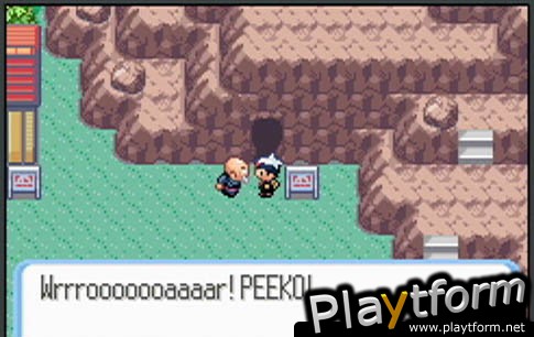 Pokemon Ruby Version (Game Boy Advance)