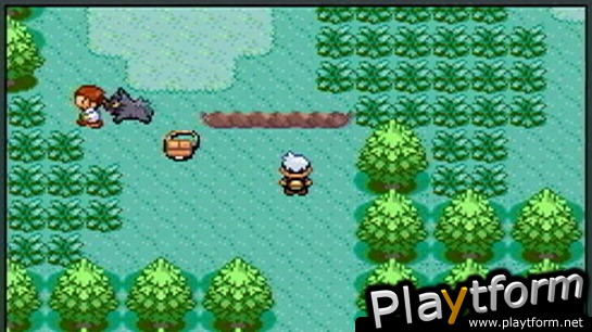 Pokemon Ruby Version (Game Boy Advance)