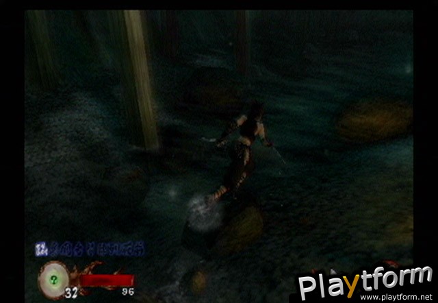 Tenchu: Wrath of Heaven (PlayStation 2)