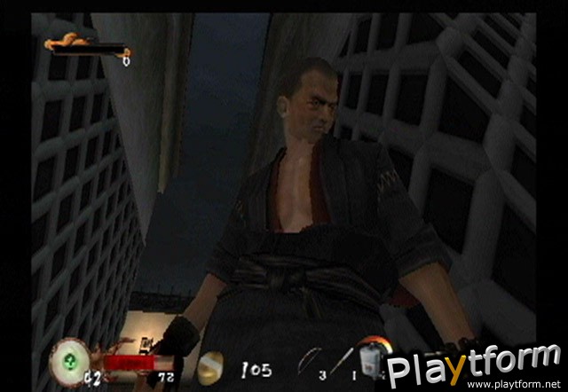 Tenchu: Wrath of Heaven (PlayStation 2)