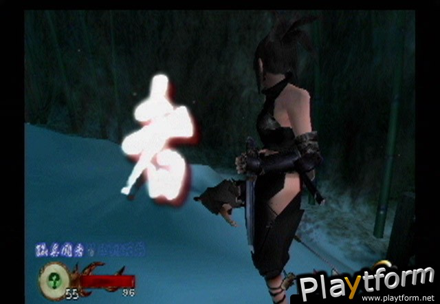 Tenchu: Wrath of Heaven (PlayStation 2)