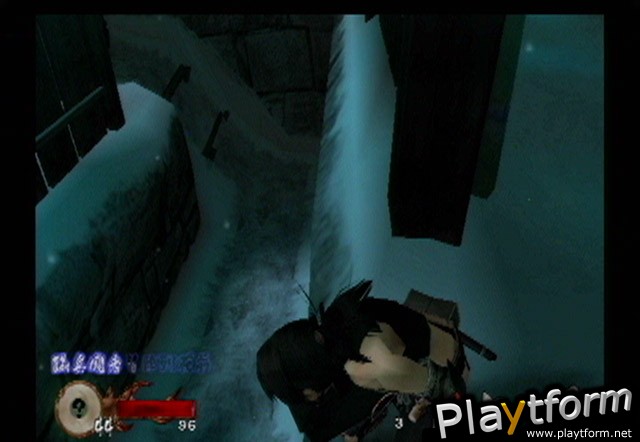 Tenchu: Wrath of Heaven (PlayStation 2)