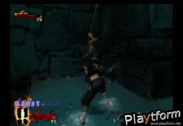 Tenchu: Wrath of Heaven (PlayStation 2)