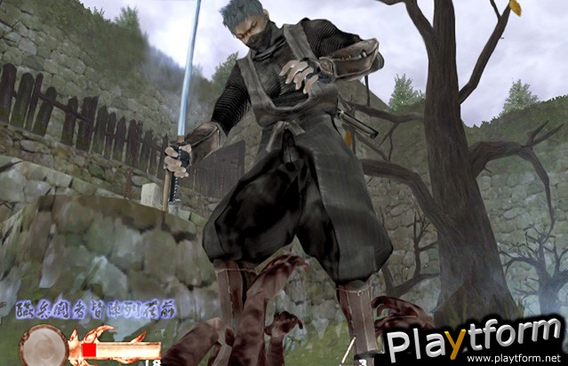 Tenchu: Wrath of Heaven (PlayStation 2)