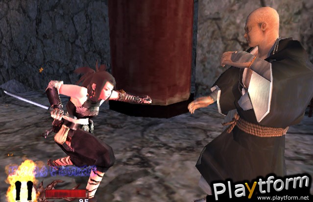 Tenchu: Wrath of Heaven (PlayStation 2)