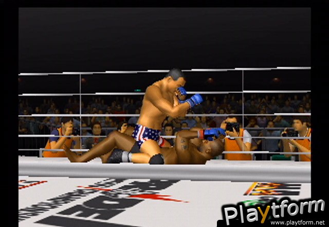 Pride FC (PlayStation 2)