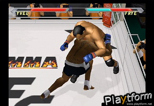 Pride FC (PlayStation 2)
