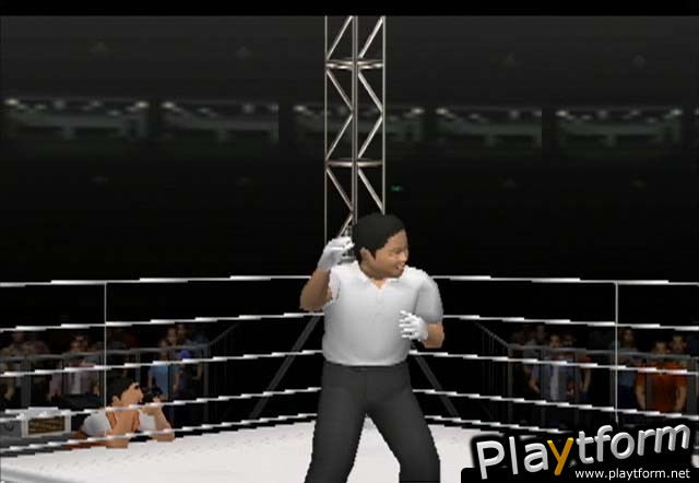 Pride FC (PlayStation 2)