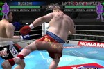 K-1 World Grand Prix (PlayStation 2)