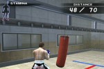 K-1 World Grand Prix (PlayStation 2)