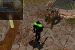 Neverwinter Nights: Shadows of Undrentide (PC)