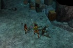 Neverwinter Nights: Shadows of Undrentide (PC)