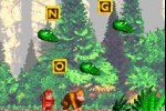 Donkey Kong Country (Game Boy Advance)