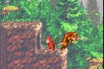 Donkey Kong Country (Game Boy Advance)