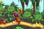 Donkey Kong Country (Game Boy Advance)