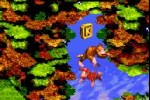 Donkey Kong Country (Game Boy Advance)