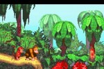 Donkey Kong Country (Game Boy Advance)