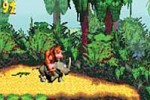 Donkey Kong Country (Game Boy Advance)