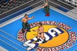Fire ProWrestling Z (PlayStation 2)