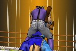 Ultimate Muscle: Legends vs. New Generation (GameCube)