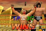 Ultimate Muscle: Legends vs. New Generation (GameCube)