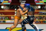 Ultimate Muscle: Legends vs. New Generation (GameCube)