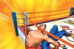 Ultimate Muscle: Legends vs. New Generation (GameCube)