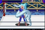 Ultimate Muscle: The Kinnikuman Legacy - The Path of the Superhero (Game Boy Advance)