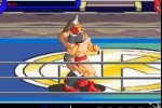 Ultimate Muscle: The Kinnikuman Legacy - The Path of the Superhero (Game Boy Advance)