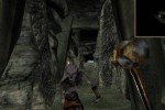 The Elder Scrolls III: Bloodmoon (PC)