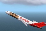 727 Professional (PC)