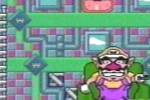 WarioWare, Inc.: Mega Microgame$! (Game Boy Advance)