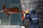 Enter the Matrix (PlayStation 2)