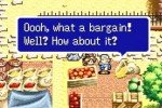 Lufia: The Ruins of Lore (Game Boy Advance)