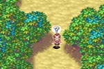 Golden Sun: The Lost Age (Game Boy Advance)