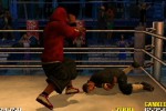 Def Jam Vendetta (PlayStation 2)