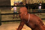 Def Jam Vendetta (PlayStation 2)